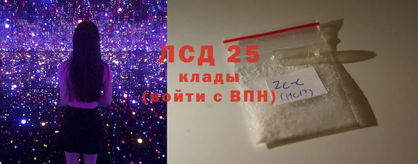 хмурый Белокуриха