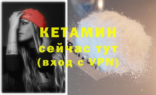 хмурый Белокуриха