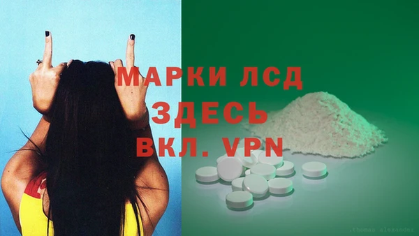 хмурый Белокуриха