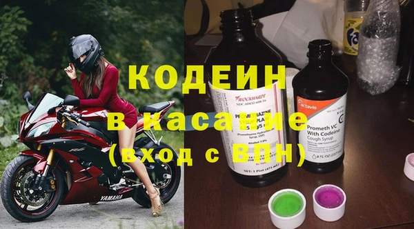 хмурый Белокуриха