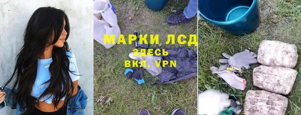 хмурый Белокуриха