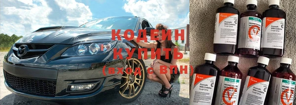 хмурый Белокуриха