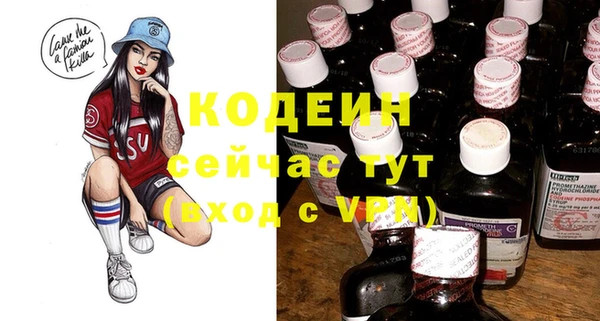 хмурый Белокуриха