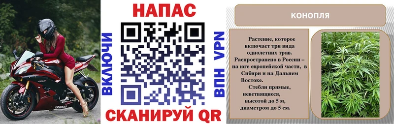 Каннабис OG Kush  Сковородино 